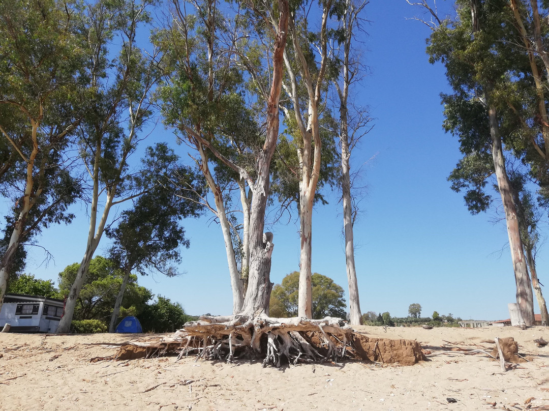 Paralia Velikas-Messini必去景点