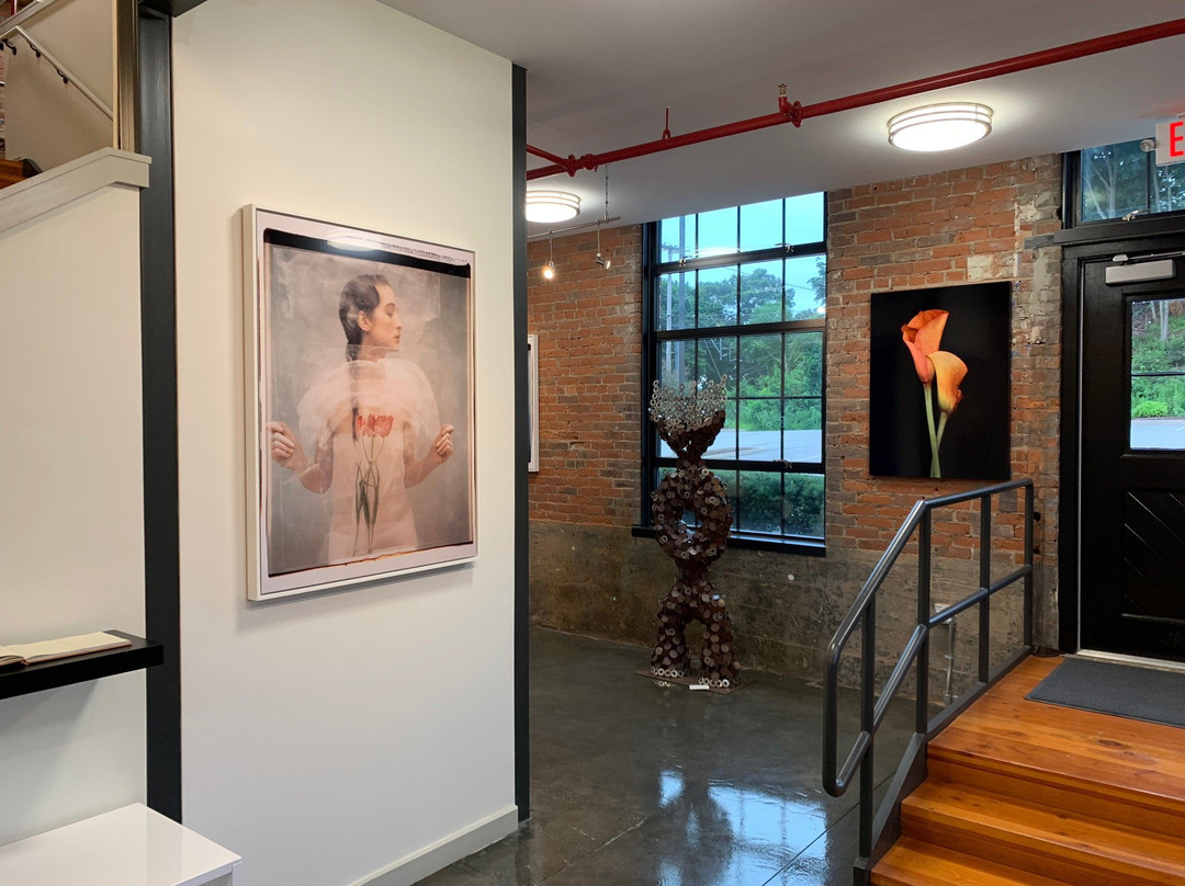 YJ Contemporary Fine Art