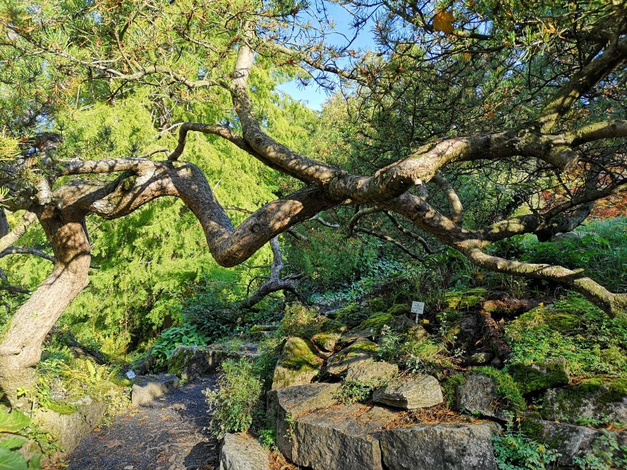 Botanischer Garten-哥廷根必去景点