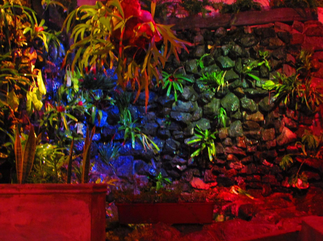 Live Cafe Bar-Buga必去景点