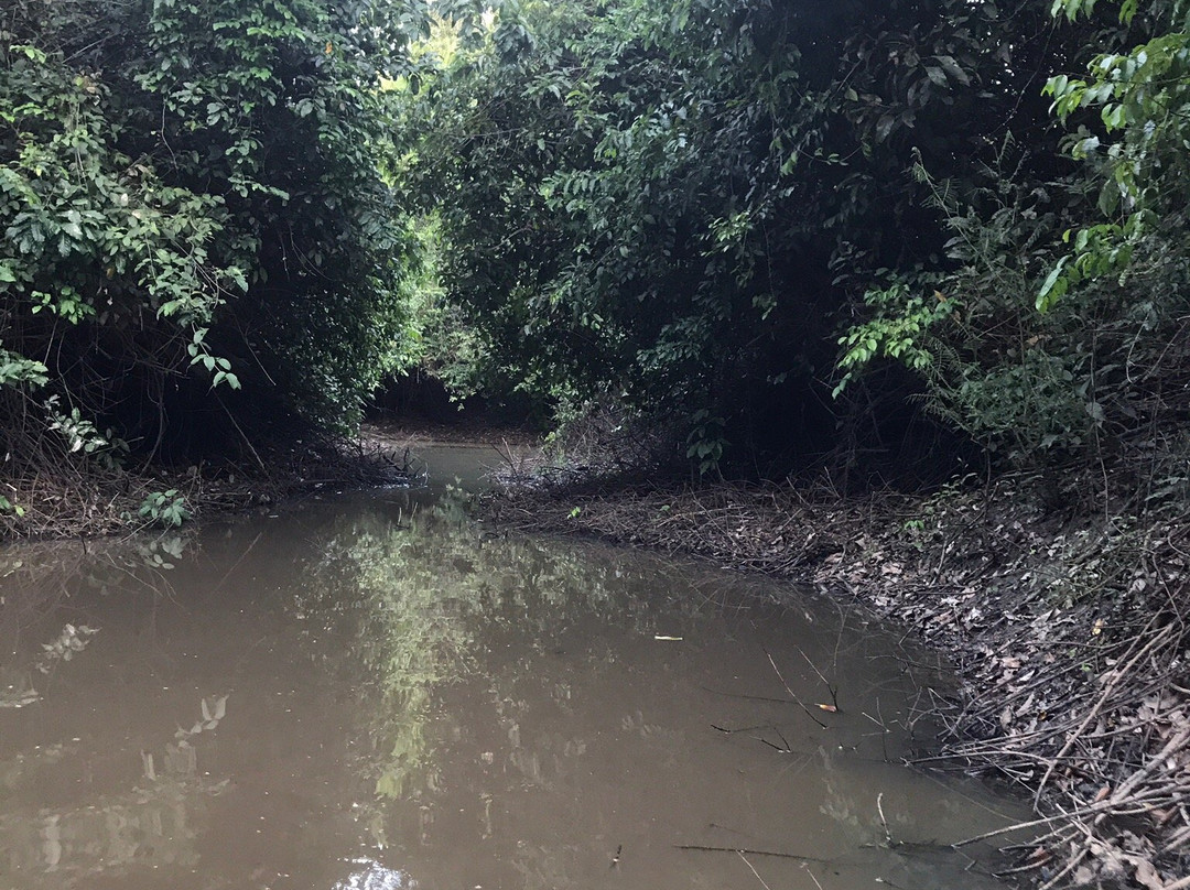 Inkaterra Ecological Reserve景点图片