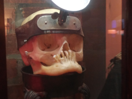 Anatomy Of Death Museum-Mount Clemens必去景点