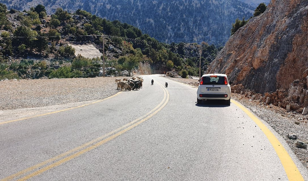 Mortoglou Chania Rent a bike-干尼亚必去景点