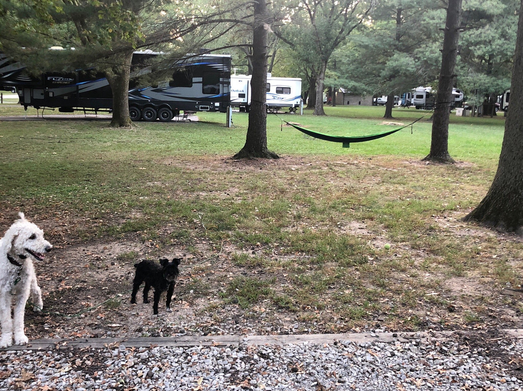 Dam West Campground