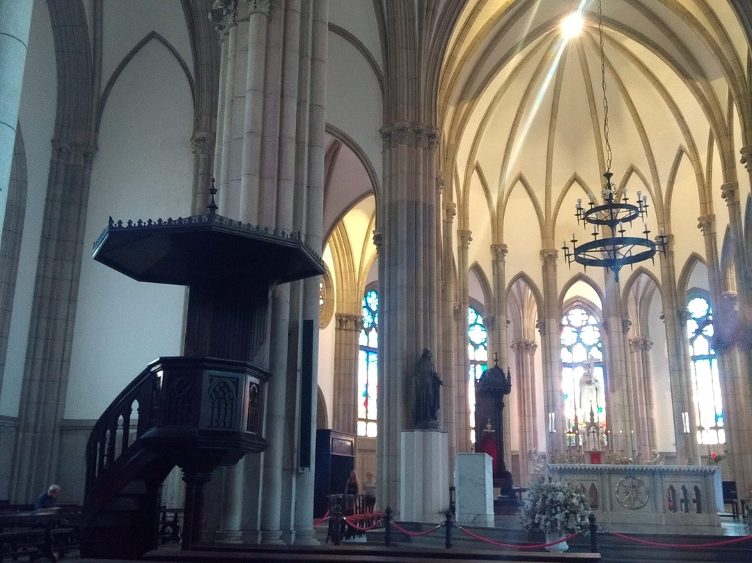 Catedral de São Pedro de Alcântara景点图片