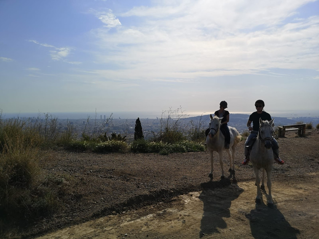 Barcelona Horse Tours景点图片