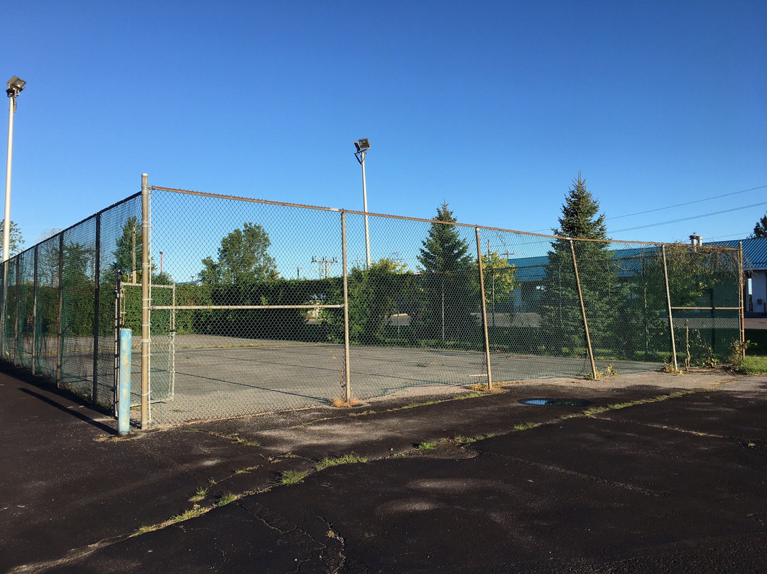 Seven Oakes Motel主图