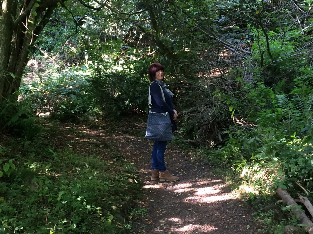 The Secret Forest-Clearwell必去景点