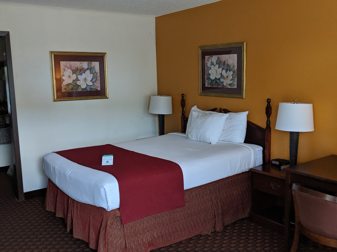 Riverview Cabins主图