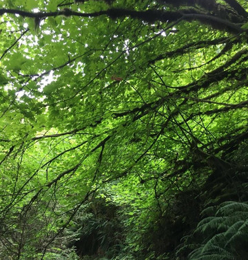 Buntzen Lake-穆迪港必去景点
