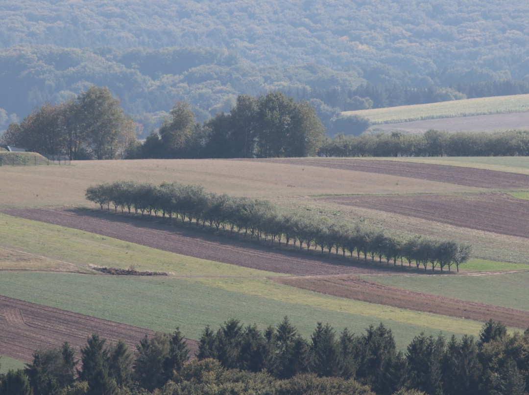 Nationalpark Hunsruck-Hochwald-比肯费尔德必去景点