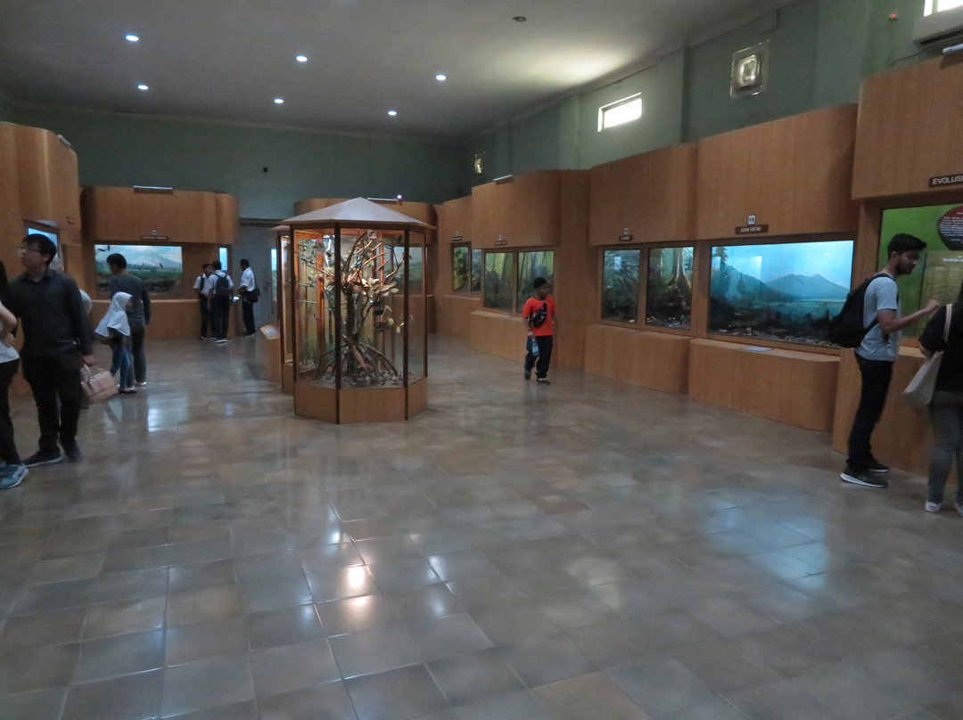 Museum Zoologi-茂物必去景点