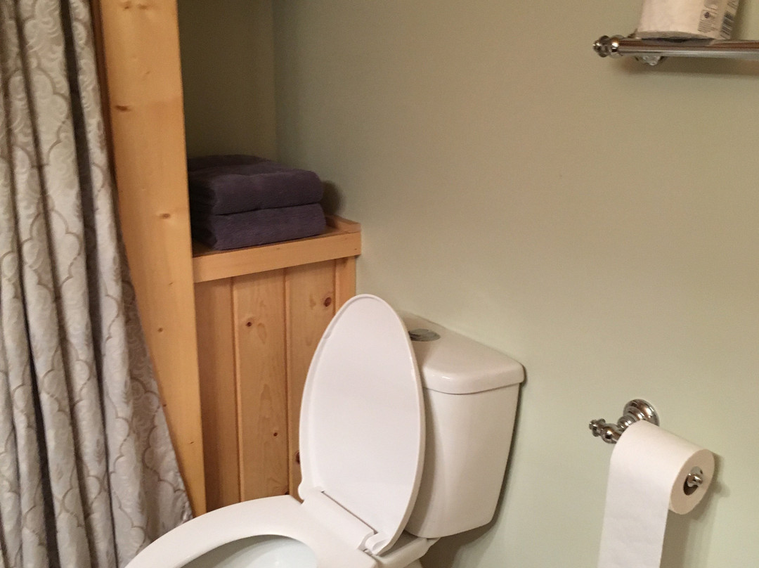 Whistling Swan Motel主图