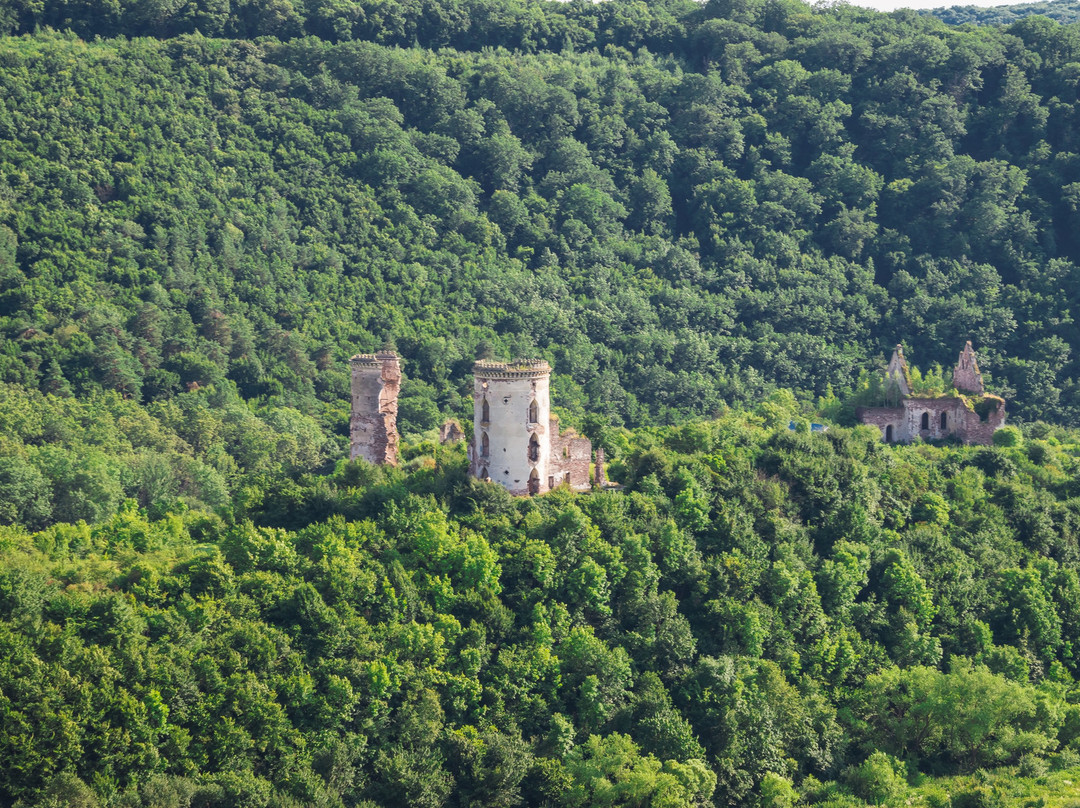 Chervonohorod Castle-Nyrkiv必去景点