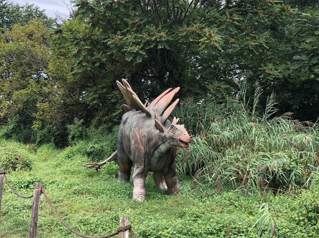 Field Station: Dinosaurs景点图片