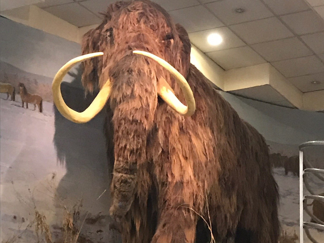 Mammoth Museum-雅库茨克必去景点