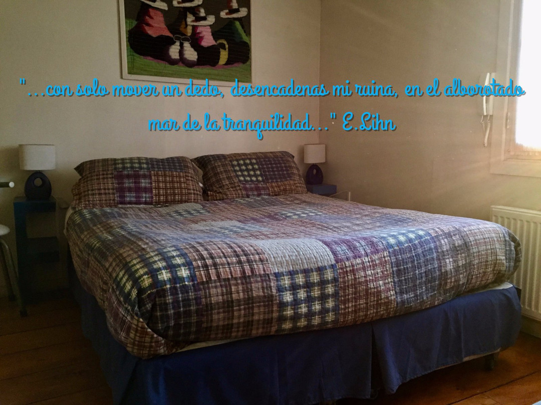 B & B Caballo Bayo主图