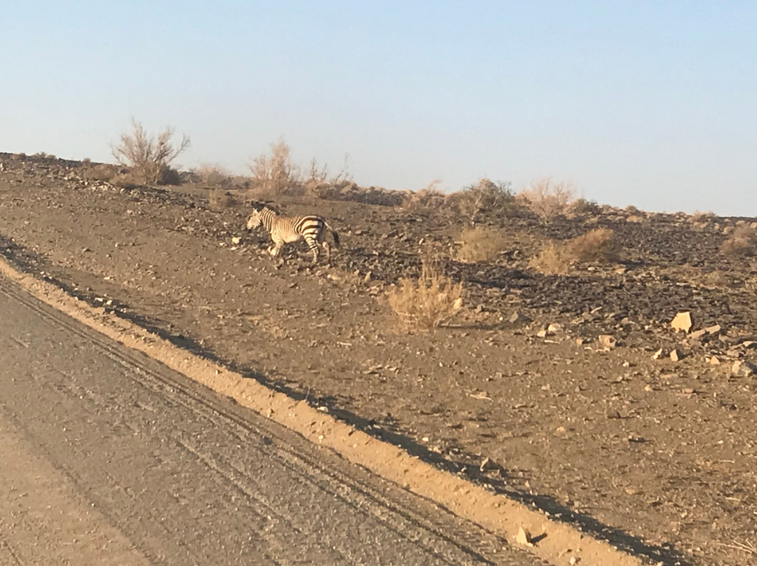 /Ai-/Ais-Richtersveld Transfrontier Park-Fish River Region必去景点