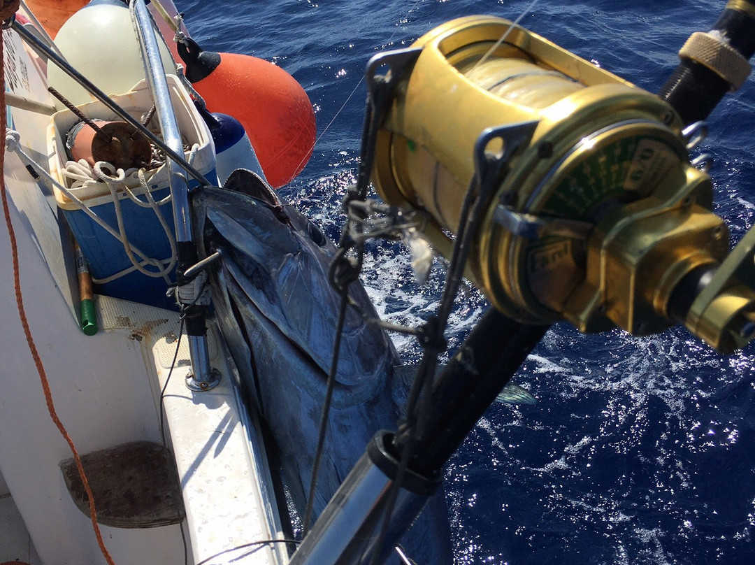 Tuna Fishing Charter-法维格纳纳必去景点
