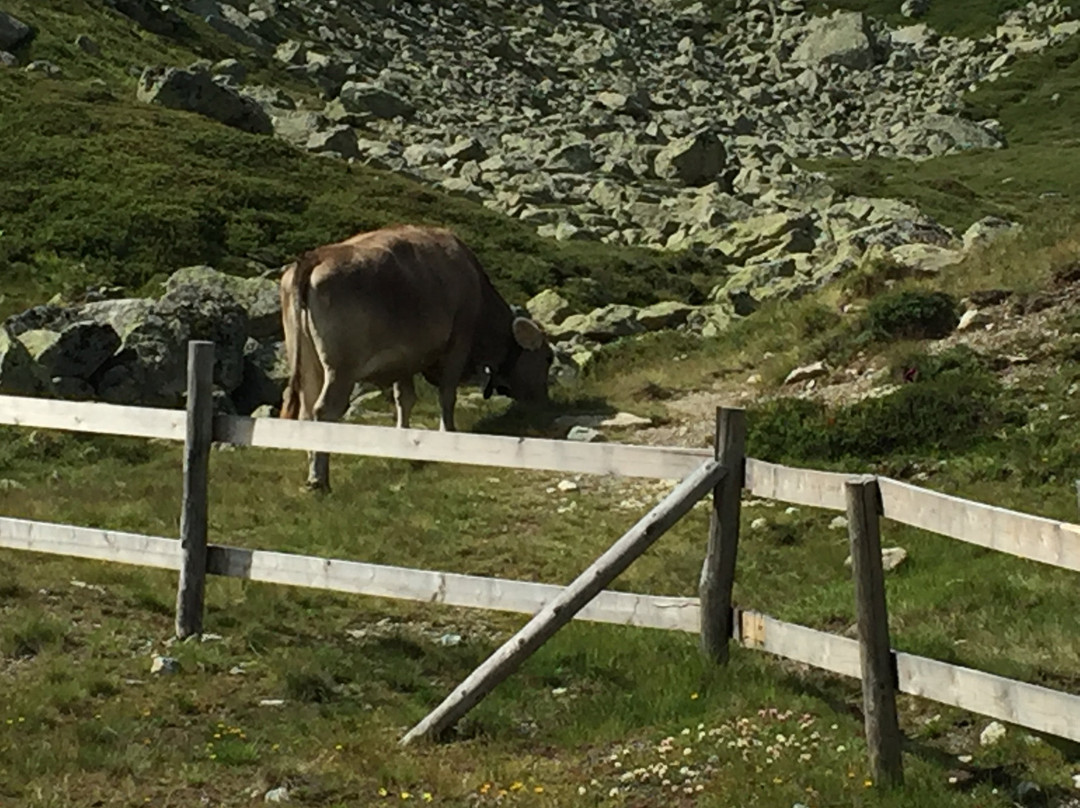 Ospizio La Veduta主图