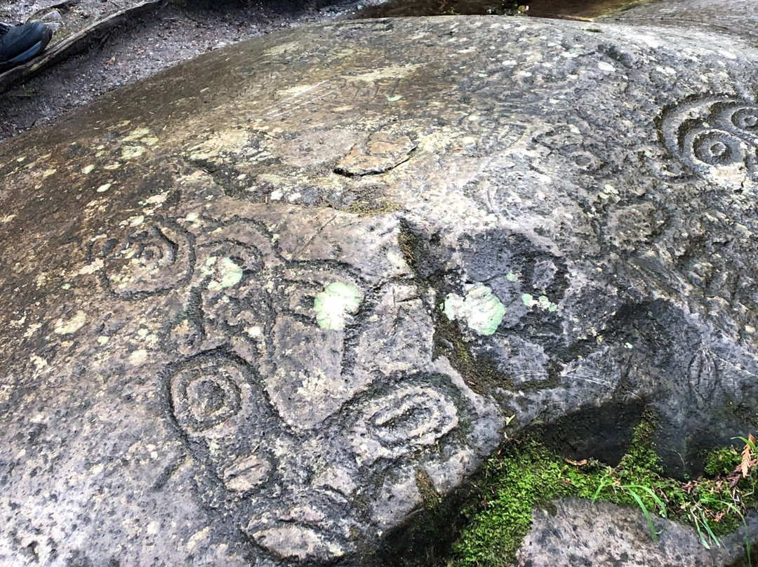 Petroglyph Galley-Bella Coola必去景点