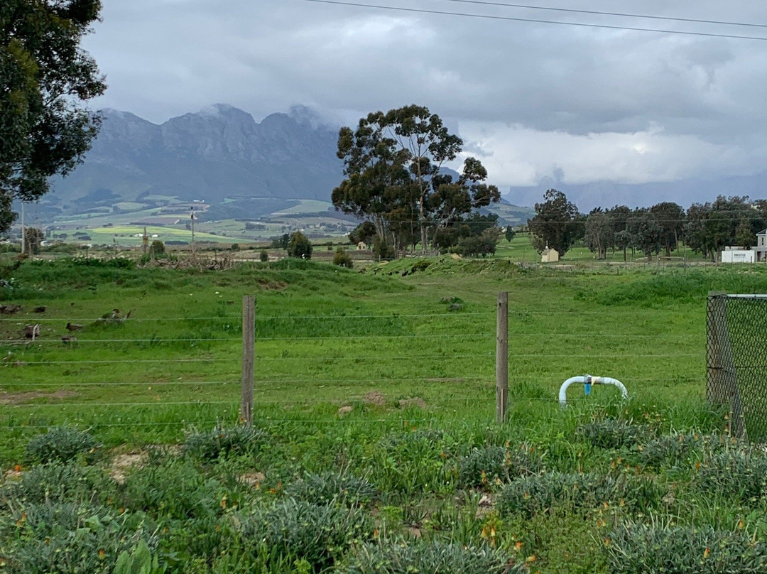 Vine Guesthouse主图