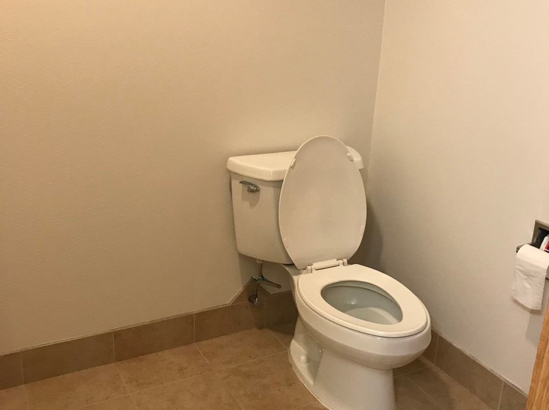 Hampton Inn Kalispell主图