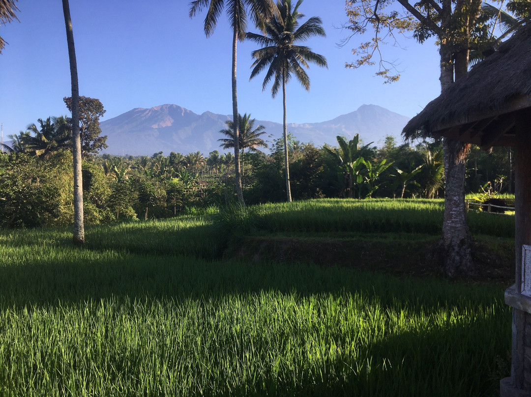 Hakiki Inn Bungalows主图