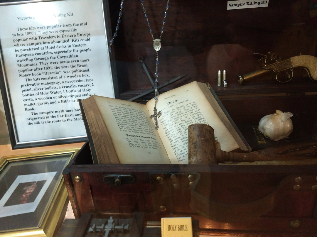 Curiosity Museum-奥尔顿塔必去景点