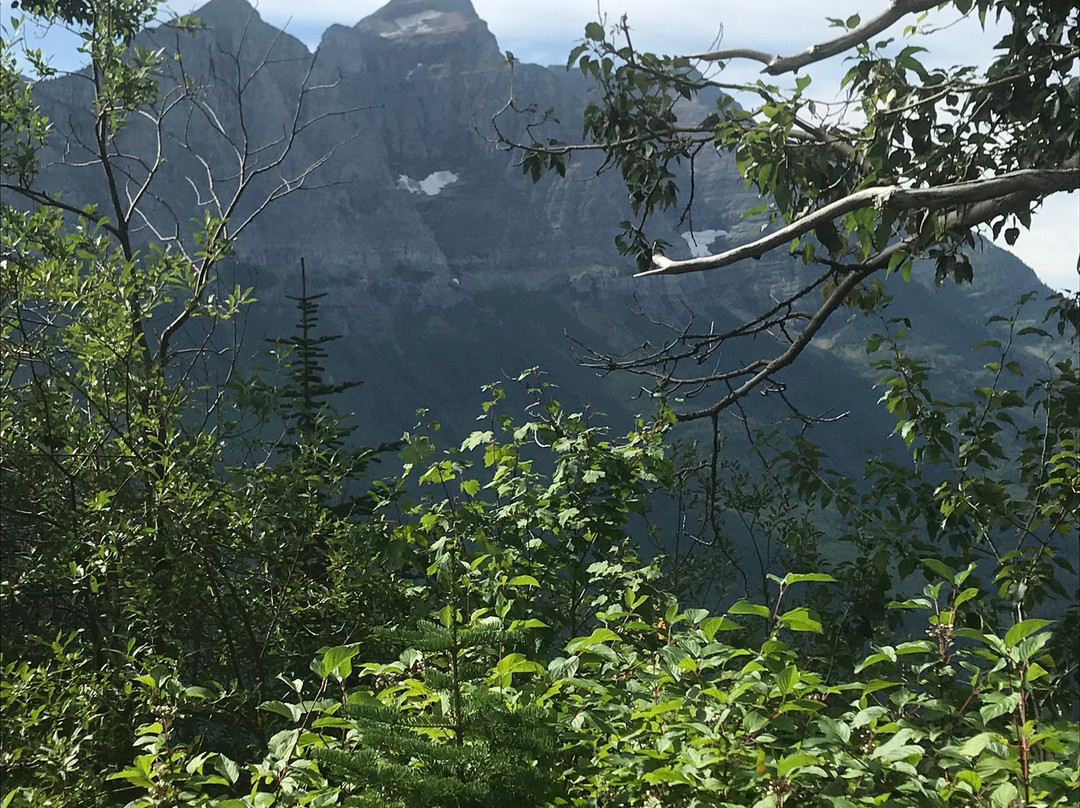 Glacier National Park景点图片