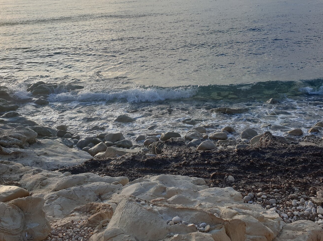 Playa De Los Carabineros