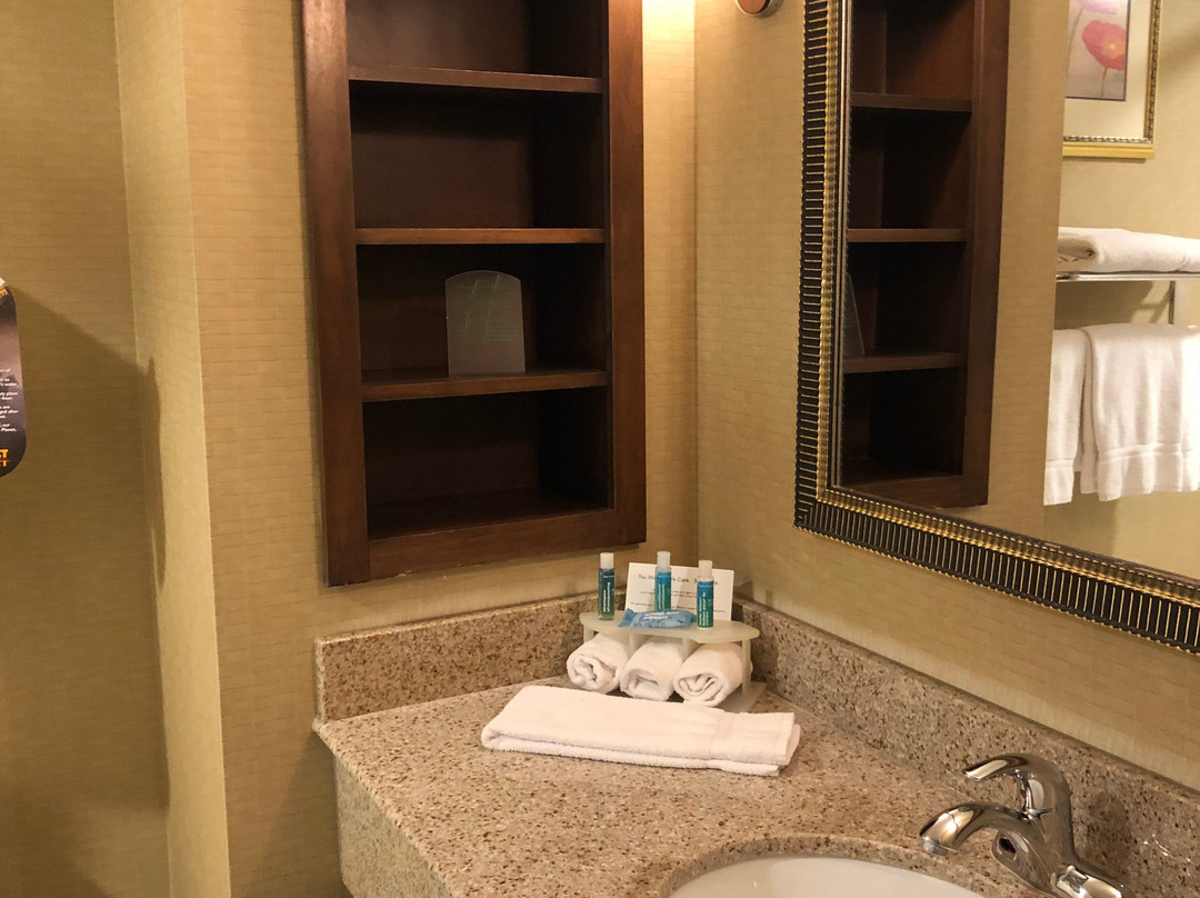 亨茨维尔智选假日套房酒店主图