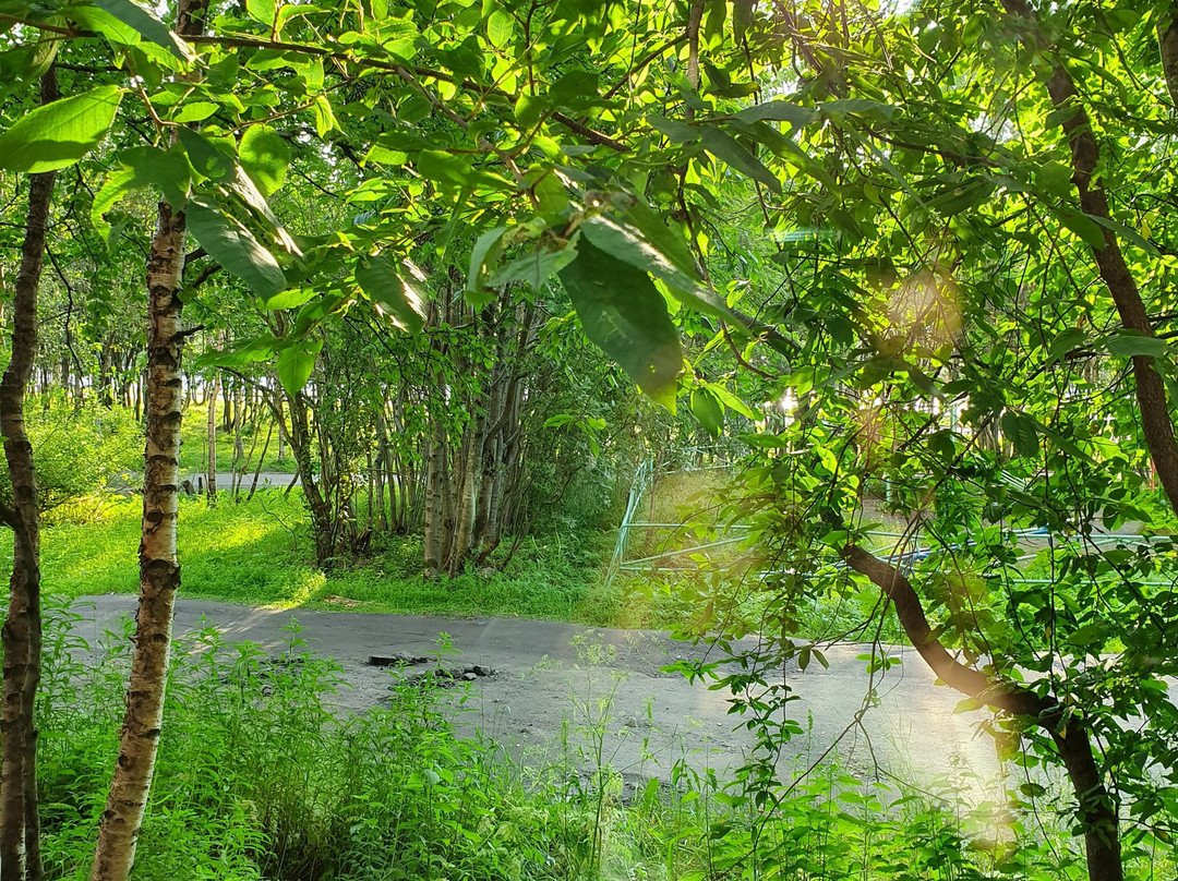 北极圈迷你宾馆主图