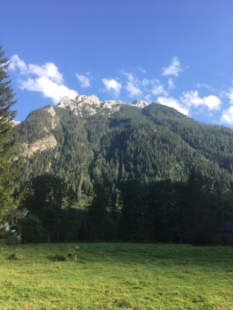 Gasthof Auzinger主图