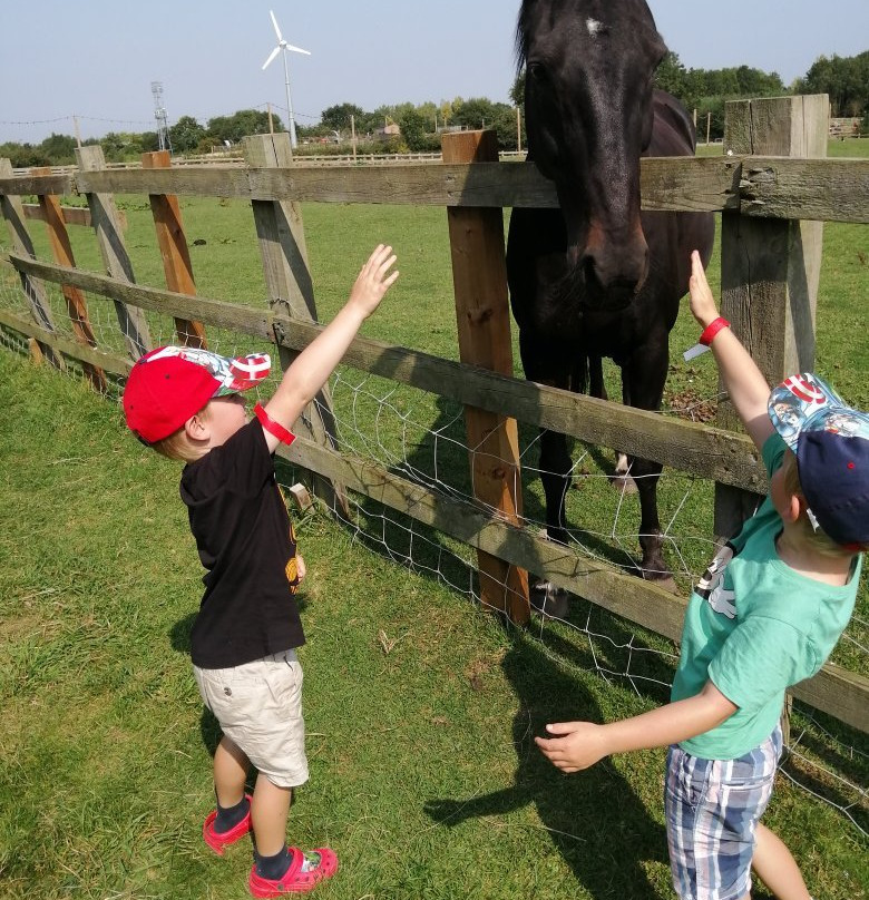 Newham Grange Farm景点图片