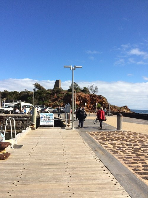 Mornington Pier-莫宁顿必去景点