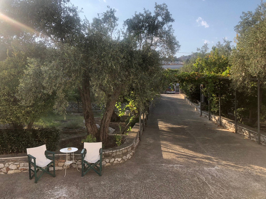 Naftilos Skiathos主图