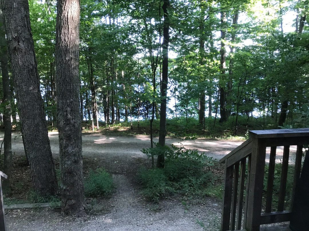 Murphys Point Provincial Park景点图片