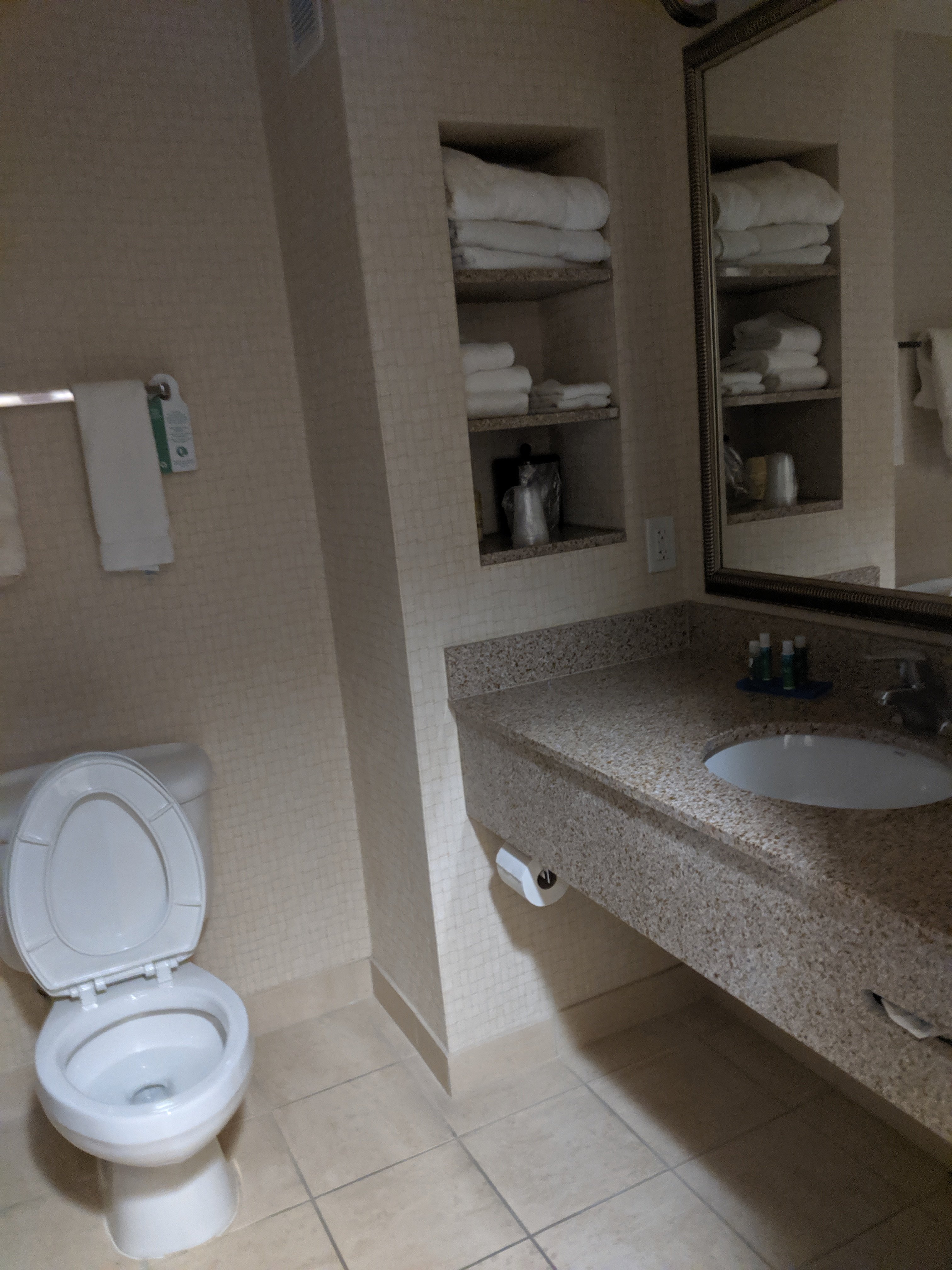 Holiday Inn Express & Suites Twin Falls, an IHG Hotel-浴室