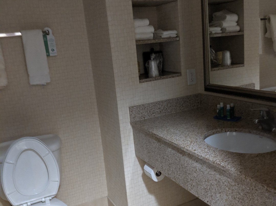 Holiday Inn Express & Suites Twin Falls by IHG主图