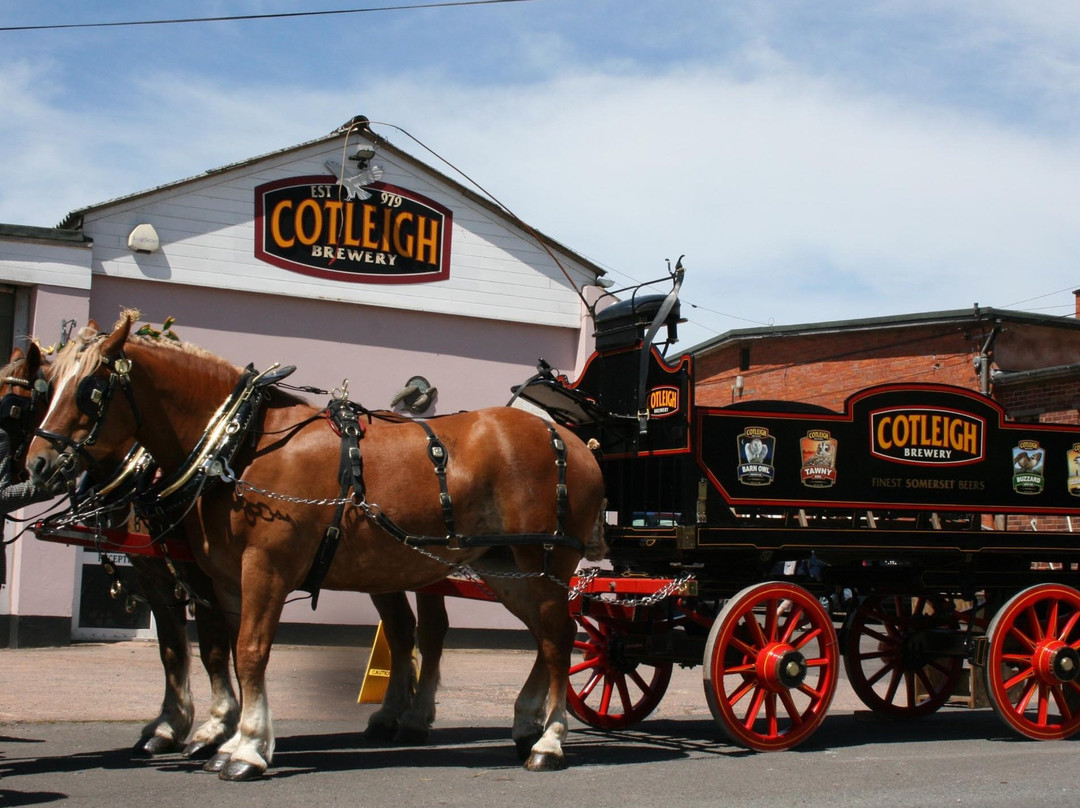 Runnington旅游景点-Cotleigh Brewery