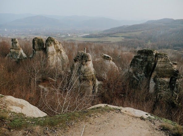Gradina Zmeilor景点图片