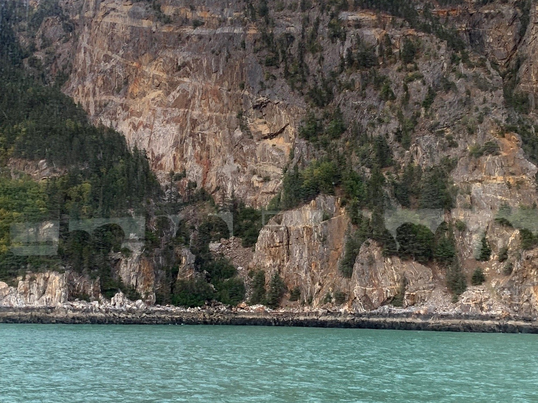 Haines-Skagway Fast Ferry景点图片