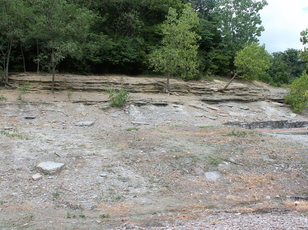 Trammel Fossil Park景点图片