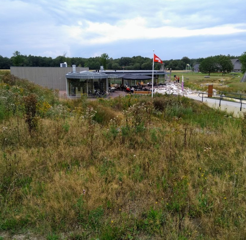 Natuurgebied Holtingerveld-Uffelte必去景点