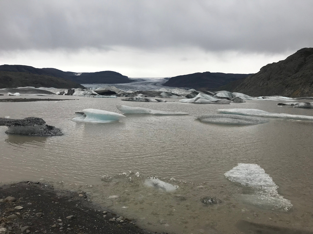 Hoffellsjokull Glacier景点图片