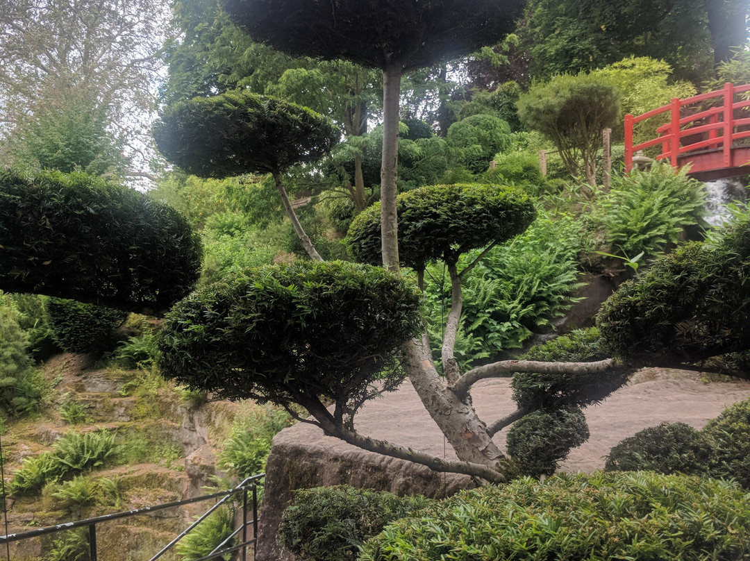 Japanischer Garten景点图片