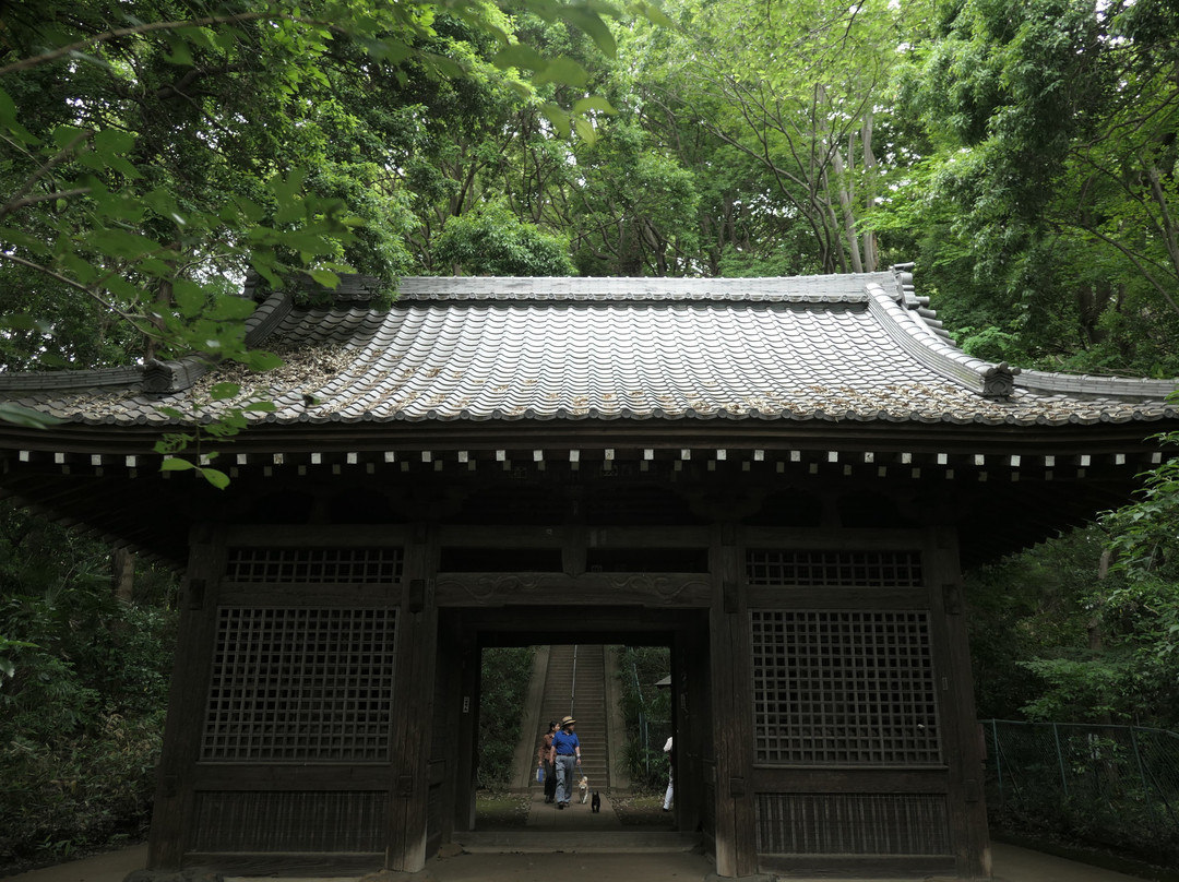 Kokubunji Yakushido-国分寺市必去景点