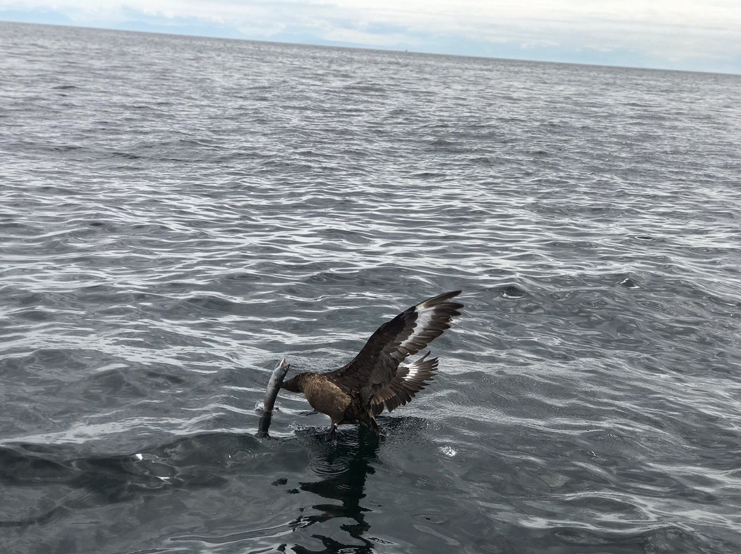 Hebrides Fish 'n' Trips景点图片