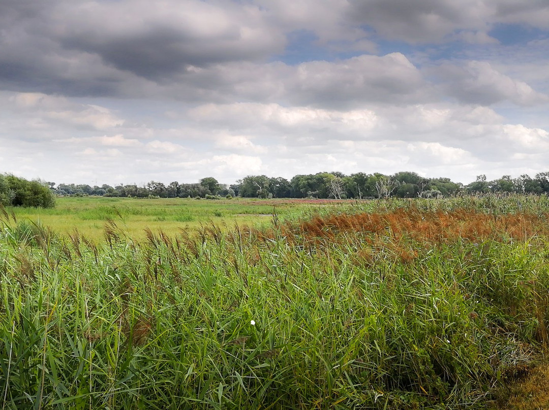 Bourgoyen-Ossemeersen Nature Reserve景点图片